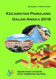 Kecamatan Pamulang Dalam Angka 2018