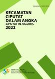 Kecamatan Ciputat Dalam Angka 2022