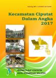 Kecamatan Ciputat Dalam Angka 2017