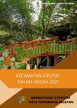 Kecamatan Ciputat Dalam Angka 2021