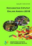 Kecamatan Ciputat Dalam Angka 2018