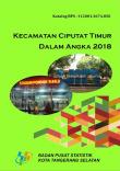 Ciputat Timur Subdistrict in Figures 2018