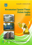 Ciputat Timur Subdistricts in Figures 2015