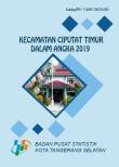 Ciputat Timur Subdistrict in Figures 2019