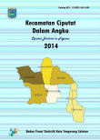 Kecamatan Ciputat Dalam Angka 2014