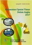 Ciputat Timur Subdistrict in Figures 2017